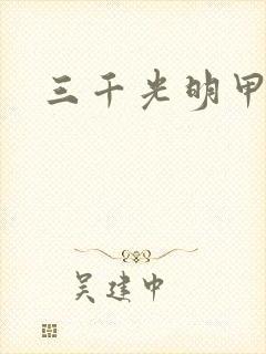三千光明甲