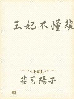 王妃不懂规矩