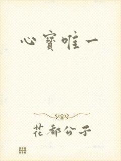 心宝唯一