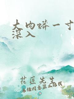 大肉蟒一寸寸地深入