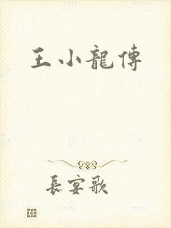 王小龙传