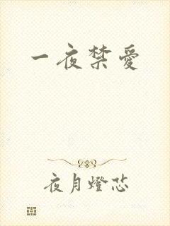 一夜禁爱