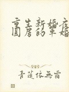 重生新婚夜正在圆房的军婚小说