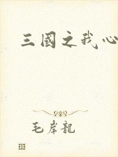 三国之我心狂想
