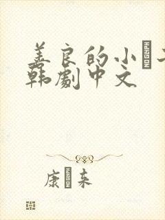 善良的小峓子2韩剧中文