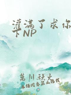 灌满了求你们停下NP