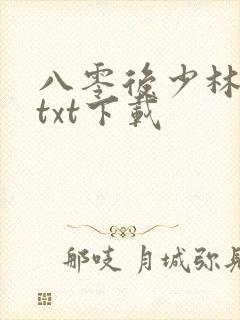 八零后少林方丈txt下载