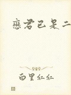 恋君已是二十年