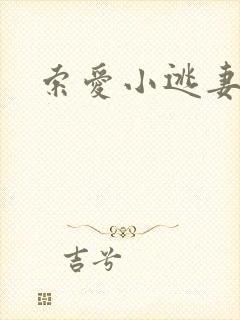 索爱小逃妻