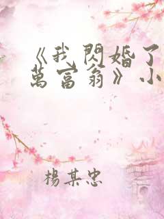 《我闪婚了个亿万富翁》小说