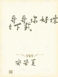 哥哥你好坏txt下载