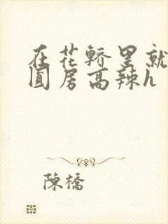 在花轿里就开始圆房高辣h