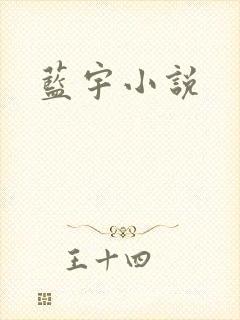 蓝宇小说
