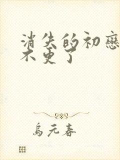 消失的初恋为啥不更了