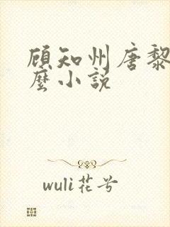 顾知州唐黎叫什么小说