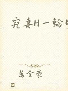 宠妻H一轮明月