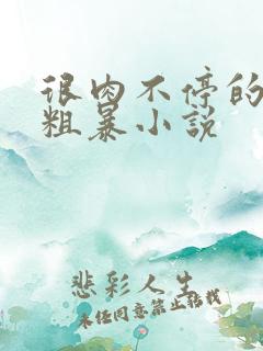 很肉不停的做很粗暴小说