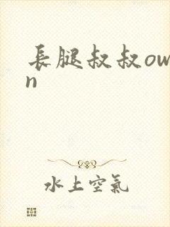长腿叔叔owen