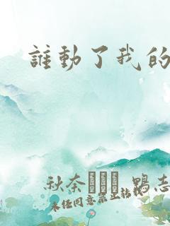 谁动了我的棺材