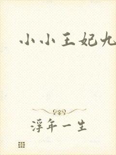 小小王妃九岁半