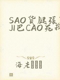 SAO货腿张开JI巴CAO死我