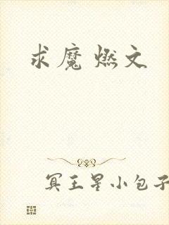 求魔 燃文
