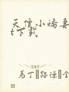 天价小娇妻txt下载