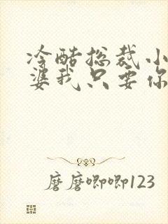 冷酷总裁小小老婆我只要你