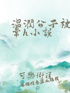 温润公子被脔日常h小说