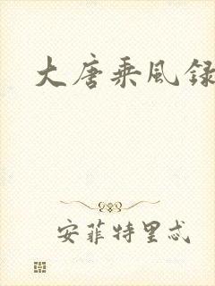 大唐乘风录