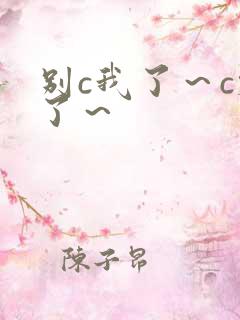 别c我了～c烂了～