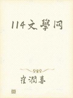114文学网