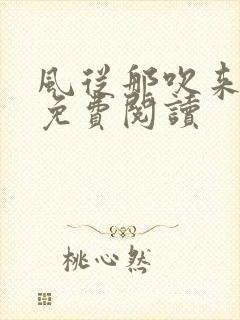 风从那吹来小说免费阅读