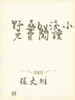 野桑by浅小说免费阅读