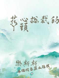 花心总裁的小小丫头