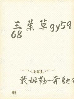 三叶草gy5968