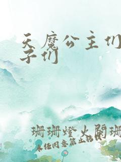 天魔公主们的王子们