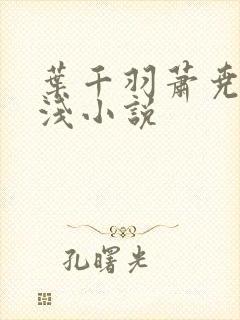 叶千羽萧尧白清浅小说