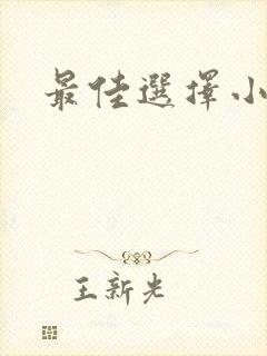 最佳选择小说