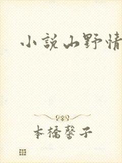 小说山野情债