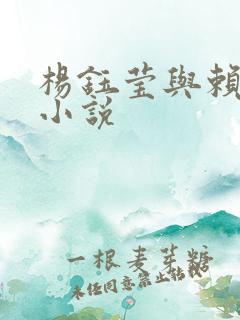 杨钰莹与赖昌星小说