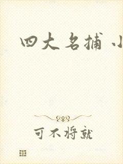 四大名捕 小说