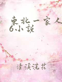 东北一家人1一6小说