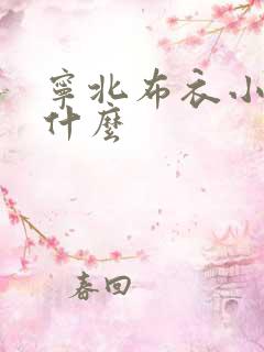 宁北布衣小说叫什么