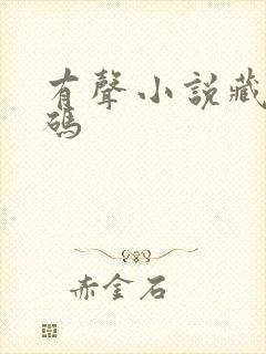 有声小说藏地密码