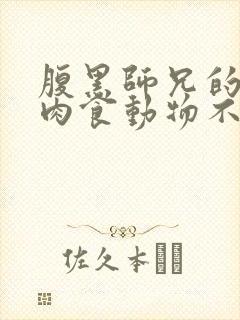 腹黑师兄的日常肉食动物不食草