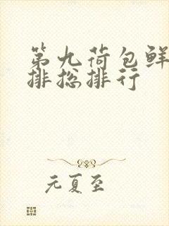 第九荷包鲜辣肉排总排行