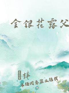 金银花露父欲