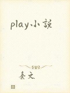 play小说