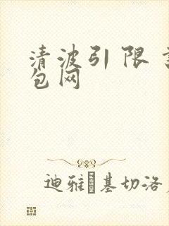 清波引 限 书包网